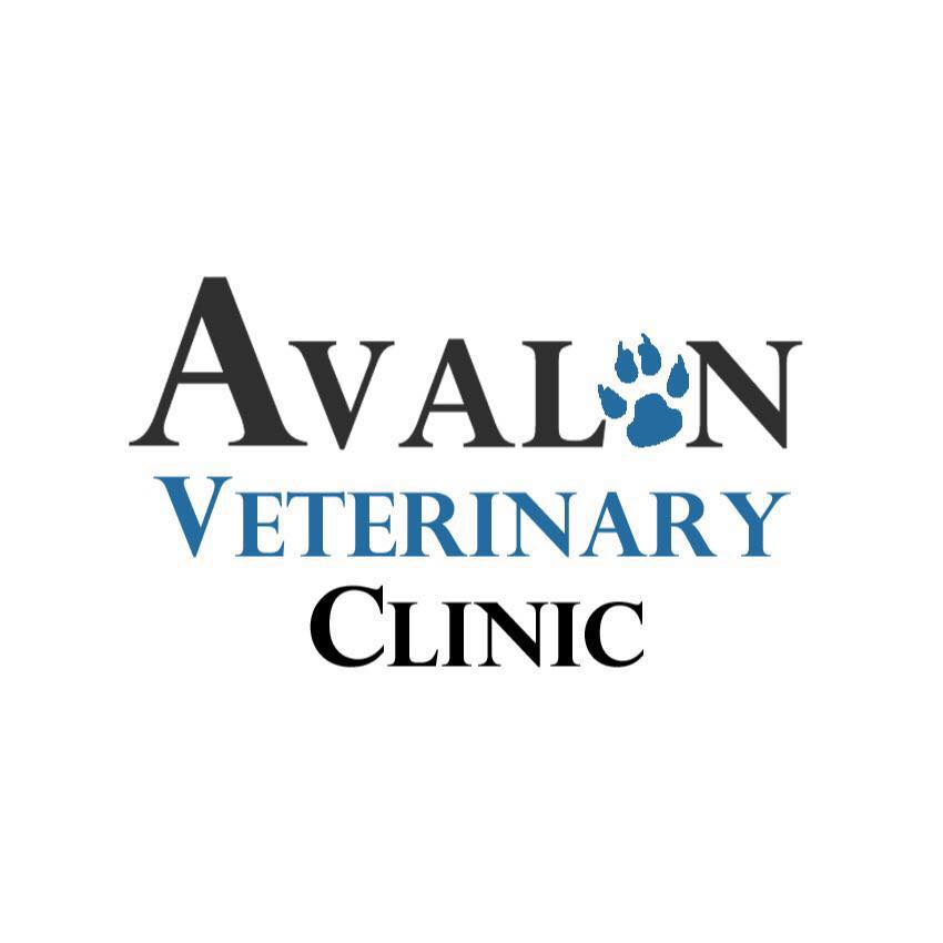 Avalon Veterinary Clinic logo