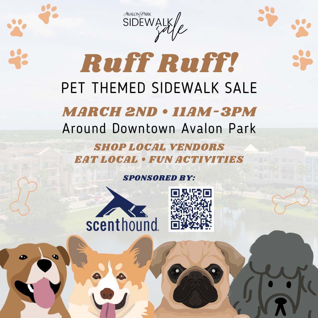 Sidewalk Sales Avalon Park Orlando